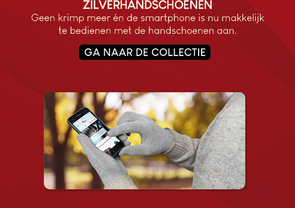 Zilverhandschoenen Skafit